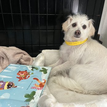 KT Dog Ranch and Kennel - Pet Boarding Near Me - Katy, Texas KT Dog Ranch and Kennel - Pet Boarding Near Me - Katy, Texas