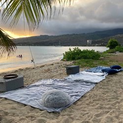 Living Aloha Tours