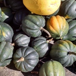 Gile's Family Farm
