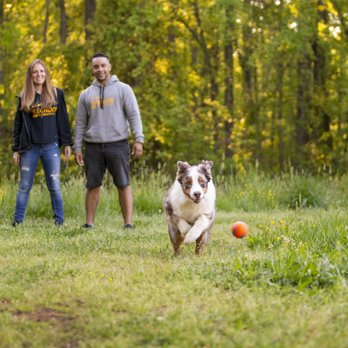 KeenDog - Pet Training Near Me - Fort Mill, South Carolina