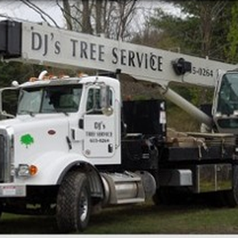 D J S Tree Service Logging 10 Photos Tree Services 65 Colchester Pond Rd Colchester Vt Phone Number Yelp