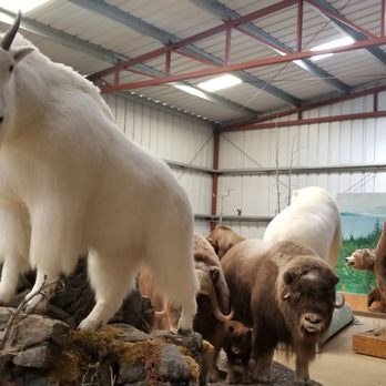Caribou Crossing Trading Post - Local Flavor Near Me Caribou Crossing Trading Post - Local Flavor Near Me