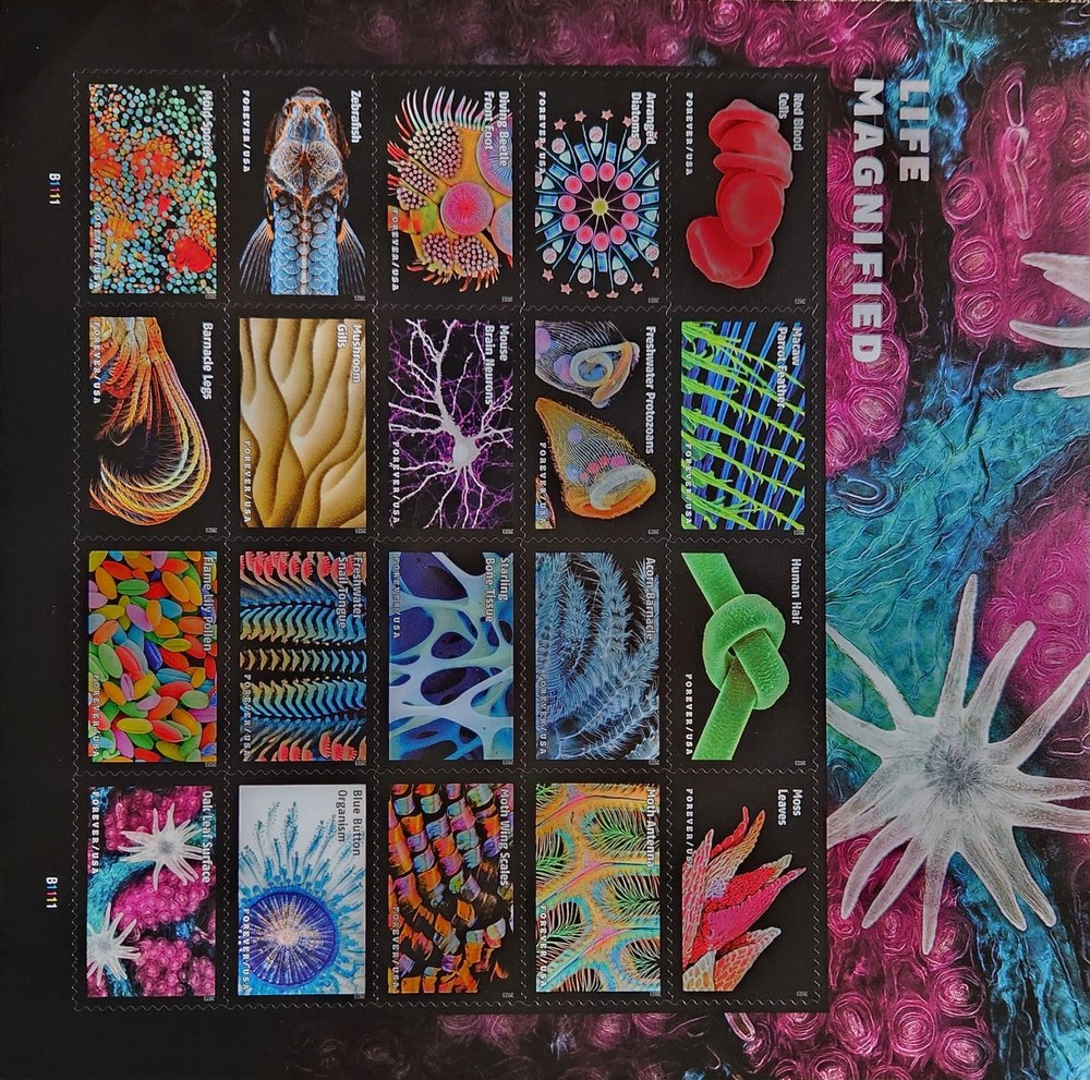 US POST OFFICE Updated October 2024 13 Photos & 104 Reviews 20700