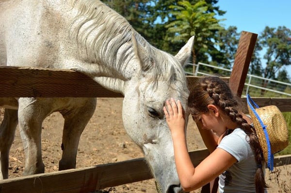 Los Gatos Farms 15 Photos 19 Reviews Horseback Riding Redwood Estates Ca Phone Number Yelp