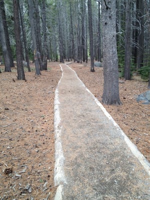 Donner Memorial State Park by null