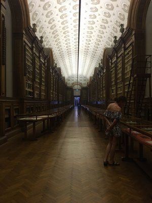 Palatina Library by null
