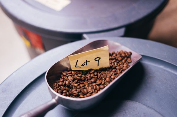 Java Pura Coffee Roasters and Specialty Coffee Catering by null