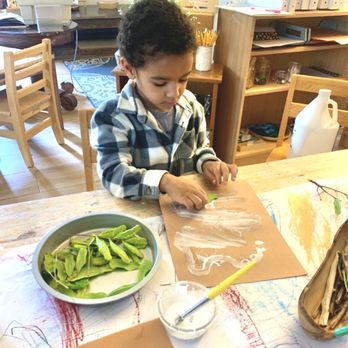 Discovery Gardens Fullerton Early Environmental Learning Center - Preschools Near Me - Fullerton, California