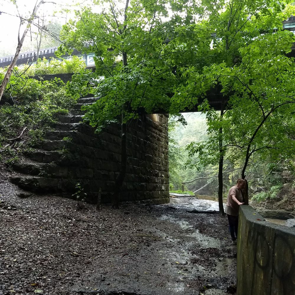 Beechview - Seldom Seen Greenway - Beautiful! - Parks Near Me - Pittsburgh, Pennsylvania