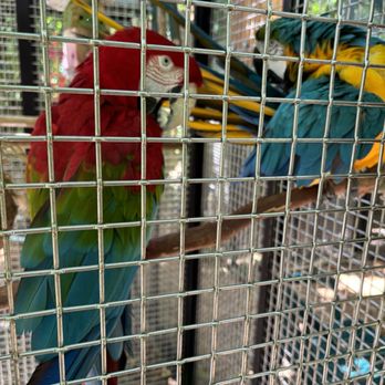 Nancy Forrester's Secret Garden - Animal Shelters Near Me - Key West, Florida