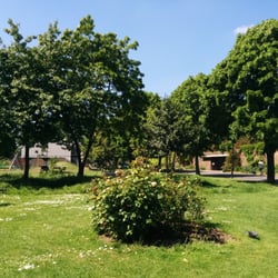 Haggerston Park - Perfect sunny Sunday activity