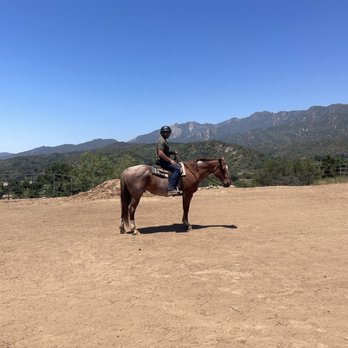 Western Trail Rides - Oliver - Horseback Riding Near Me