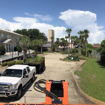 Landscape Enterprise - Hoa palms pruning - Tree Services Near Me Landscape Enterprise - Hoa palms pruning - Tree Services Near Me