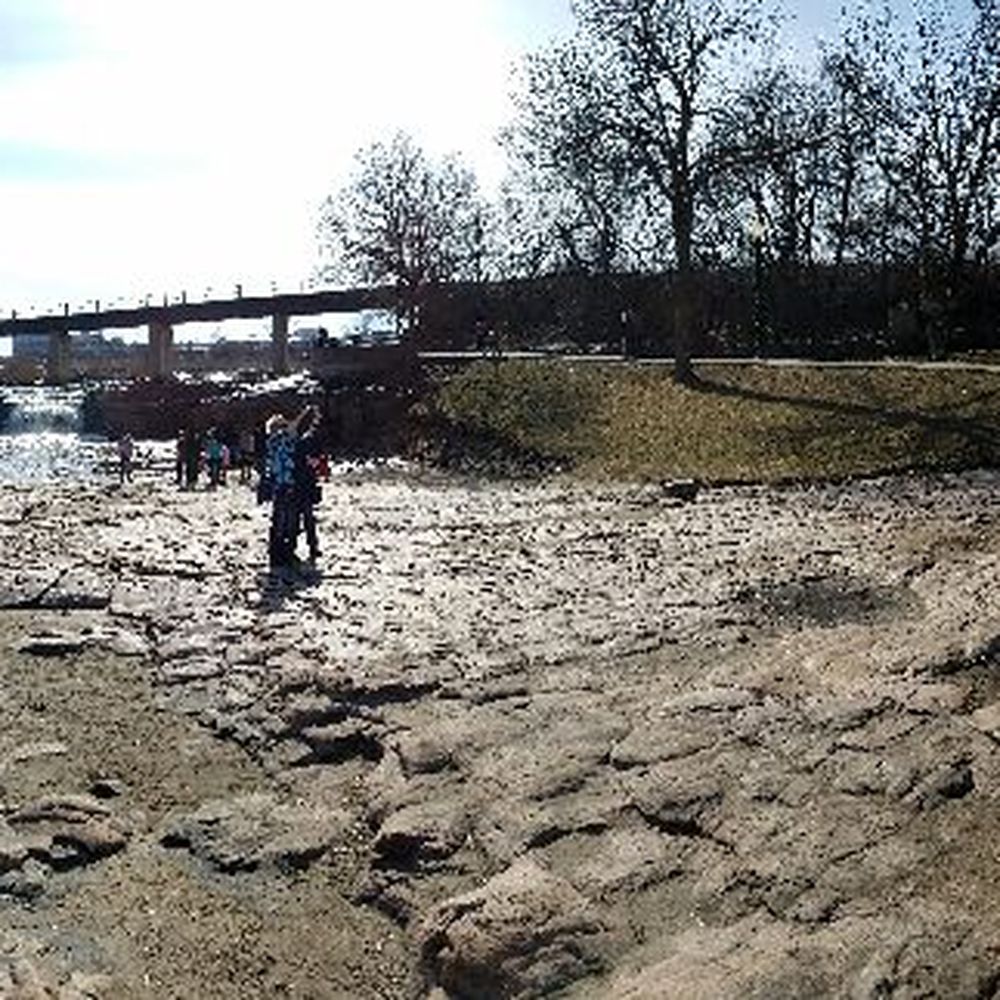 Falls Park - Parks Near Me - Sioux Falls, South Dakota