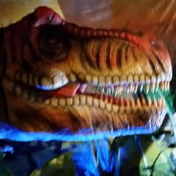 Wonder Of Dinosaurs