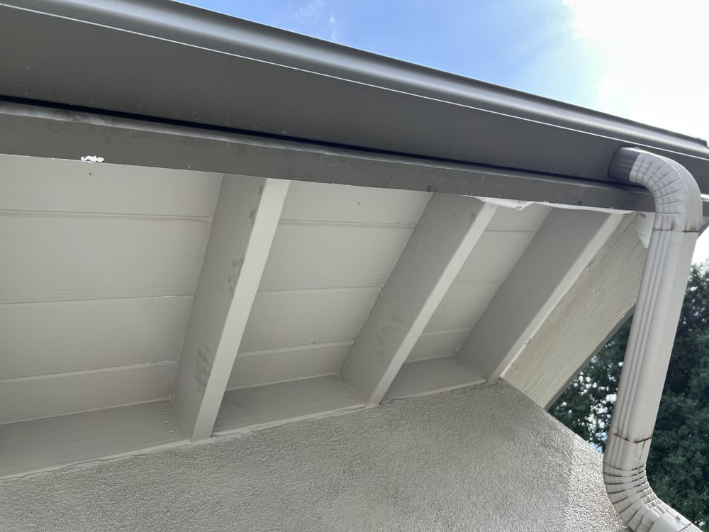 Slide of Eco Systems