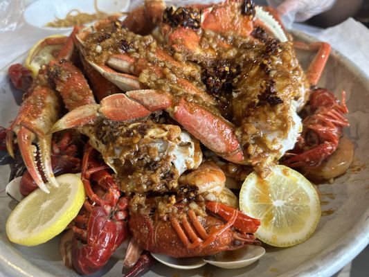 Shaking Crab (Newton) by null