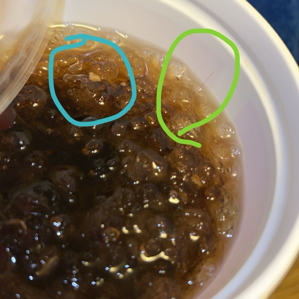 Fountain Drinks (with hair) Fountain Drinks (with hair)