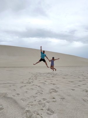 Lancelin Sand Dunes by null
