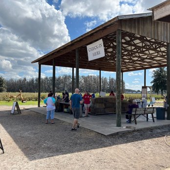 Starkey Blueberry Farm - Pick Your Own Farms Near Me - Trinity, Florida