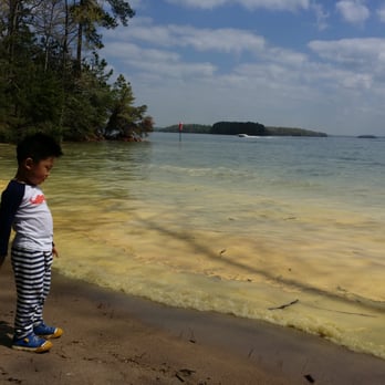 Legacy Lodge - Yellow lake due to pollen. - Venues & Event Spaces Near Me - Buford, Georgia