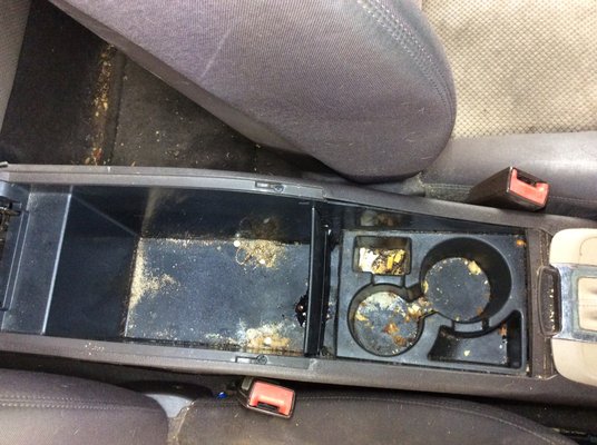 American Eagle Car Detail