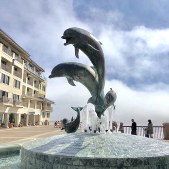 Tidal Coffee - Cafes Near Me - Monterey, California