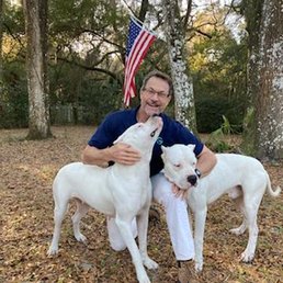 Sasha and Sampson best dogs ever deserve a GREAT Veterinarian Sasha and Sampson best dogs ever deserve a GREAT Veterinarian