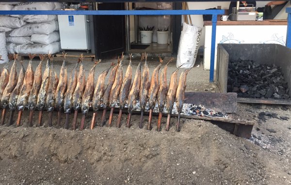 Oktoberfest Camping by null