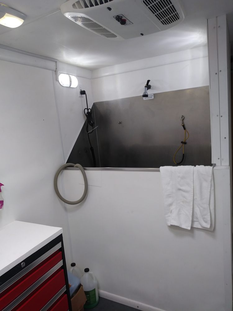 Clean and Clipped K9's Image