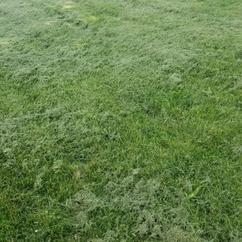 Safari Lawn Care - Landscaping Near Me - Boise, Idaho Safari Lawn Care - Landscaping Near Me - Boise, Idaho