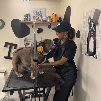 LaFurla Furtique - Zara could not be nicer or more lovely to my Lulu who is a bit rambunctious! - Pet Groomers Near Me