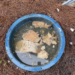 Affordable Plumbing Service - Bad lift station all clogged and not working.