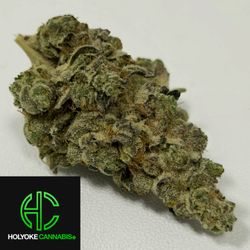 Holyoke Cannabis Dispensary - "GMO" HC Exclusive Flower | Holyoke Cannabis Dispensary | Holyokecannabis.com