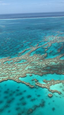 Great Barrier Reef by null