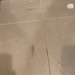 Blink Fitness - Lodi - This place seems to be ran by children who do not care about the guests or members who pay monthly here. I rarely see the manager.