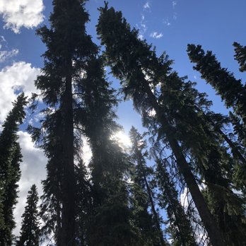 Denali National Park - Feeling really small - Hiking Near Me - Mckinley Park, Alaska