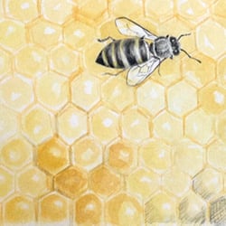 LZM Studio - Watercolor by LZM Studio Founder, Laurie, 2013