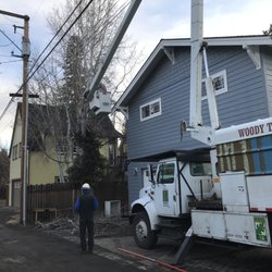 Woody Tree Service - Taking down an aspen