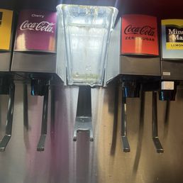 Mold in the ice dispenser.