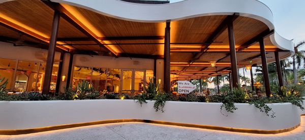 Jacinta de mexico by null