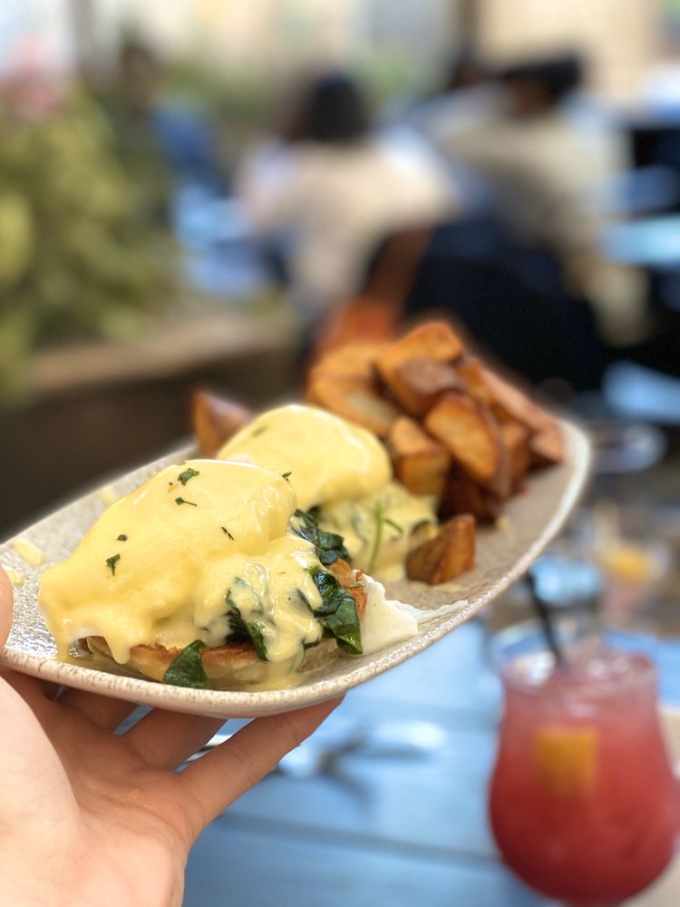 HARPER’S GARDEN 969 Photos & 469 Reviews American (New) 31 S 18th