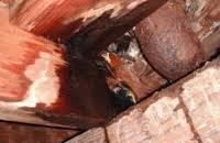 Slide of Hughes Plumbing