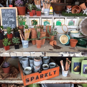 Plenty Mercantile - fun succulents! - Home Decor Near Me - Oklahoma City, Oklahoma Plenty Mercantile - fun succulents! - Home Decor Near Me - Oklahoma City, Oklahoma