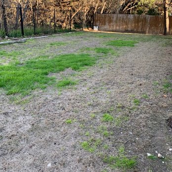 TruGreen Lawn Care - These are after "Manager came out to look at it" - Tree Services Near Me - Round Rock, Texas TruGreen Lawn Care - These are after "Manager came out to look at it" - Tree Services Near Me - Round Rock, Texas