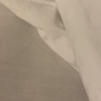 The Sofia Hotel - More hair on the bed. - Hotels Near Me - San Diego, California