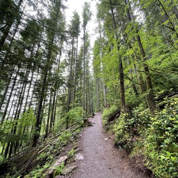 Rattlesnake Ledge Trail - Hiking Near Me Rattlesnake Ledge Trail - Hiking Near Me