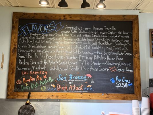 Scoops in Carnegie by null