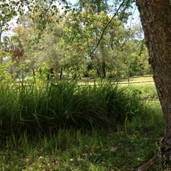 Panama City Garden Club - View from the secret garden ;$