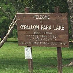 O’Fallon Park and Lake - Missouri conservation department rules apply for fishing.